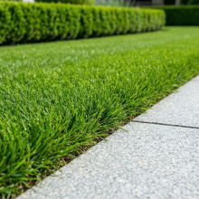 grass